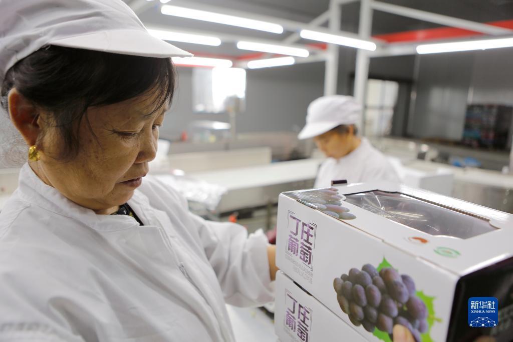 老虎机技巧网址